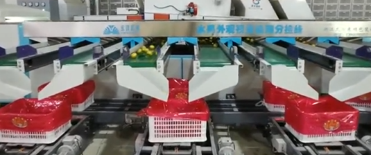 文章附图